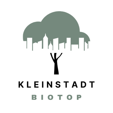 Das Logo für das KLEINSTADTBIOTOP Vöcklabruck zeigt die Skyline einer kleinen Stadt, die fließend in eine Baumkrone übergeht. Getragen von den fest verwurzeltem Stamm eines Baumes